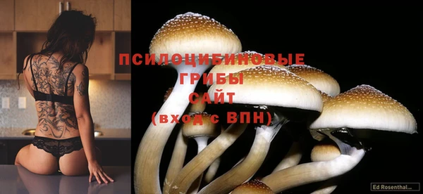 каннабис Михайловка