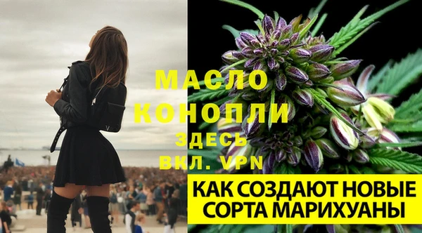 гидропоника Михайлов